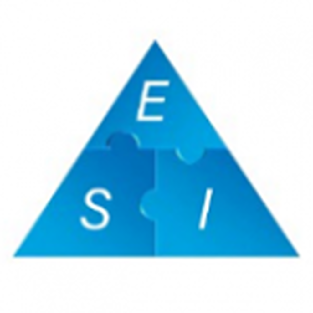 Esinergija